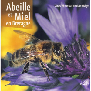 Abeille et miel en Bretagne  