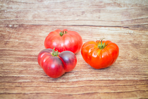 tomate ancienne mélange  BIO