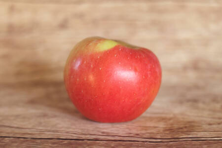 pomme Werdenberg  BIO