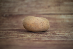 Pomme de terre Agria farineuse  BIO