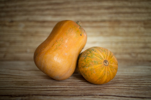 Courge Honeynut  BIO