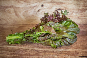 Feuille de moutarde bouquet  BIO