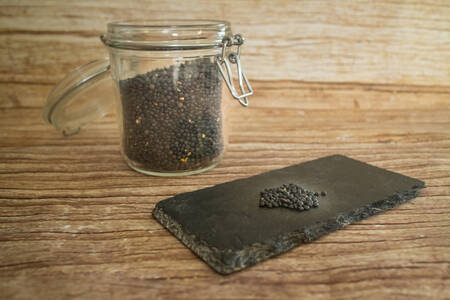 Lentille noire béluga  BIO