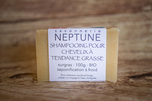 Shampooing pour cheveux à tendance grasse 100 g BIO