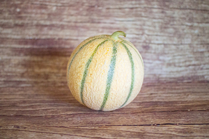 melon du Pays de Vaud  BIO